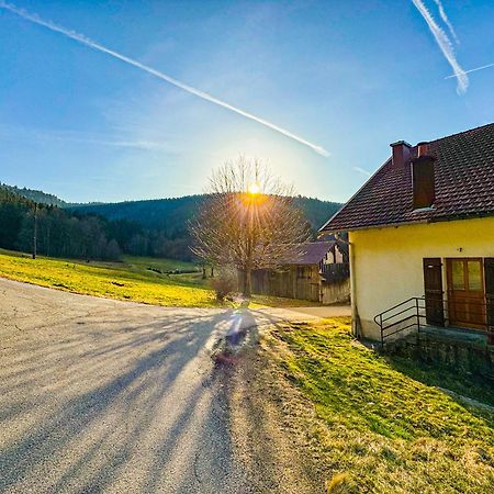 Chalet Cosy Lisiere De Foret Ксонрю-Лонжмер Екстер'єр фото
