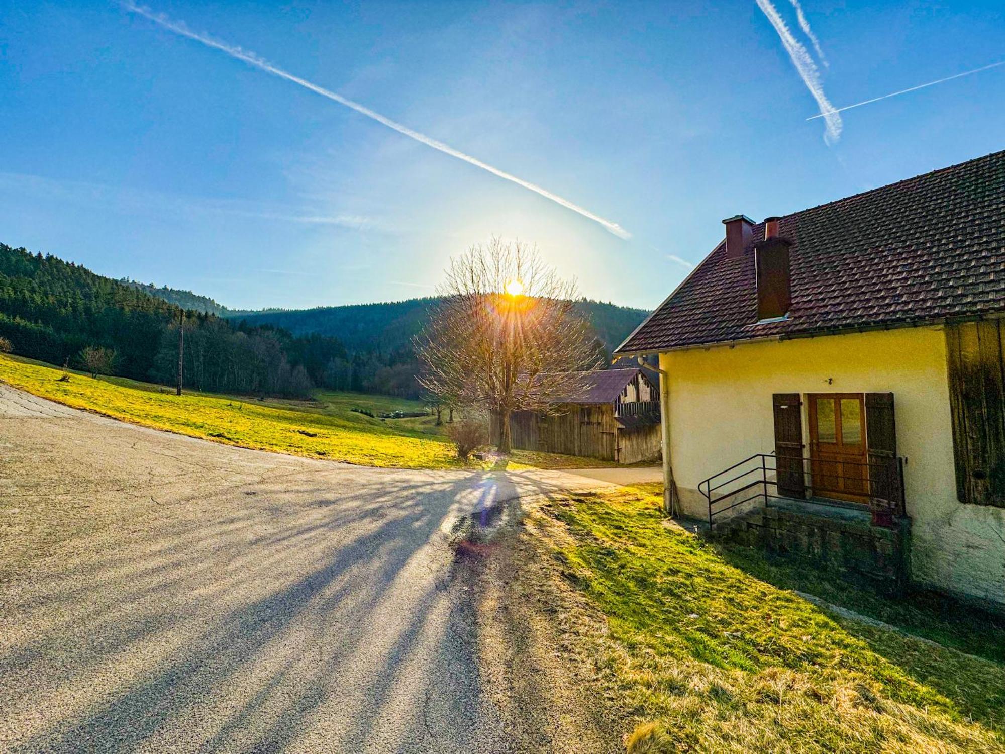 Chalet Cosy Lisiere De Foret Ксонрю-Лонжмер Екстер'єр фото