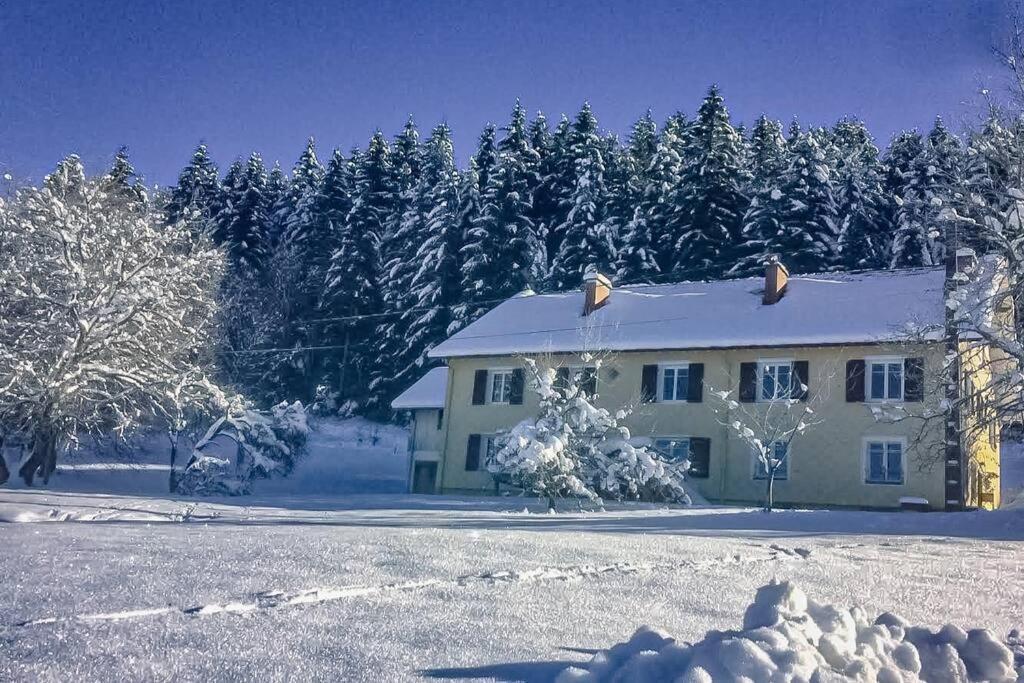 Chalet Cosy Lisiere De Foret Ксонрю-Лонжмер Екстер'єр фото