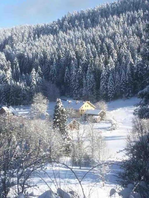 Chalet Cosy Lisiere De Foret Ксонрю-Лонжмер Екстер'єр фото