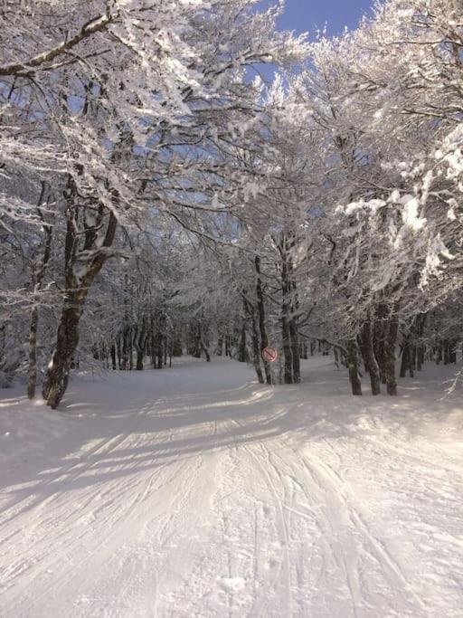 Chalet Cosy Lisiere De Foret Ксонрю-Лонжмер Екстер'єр фото